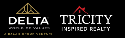 Delta Group Logo