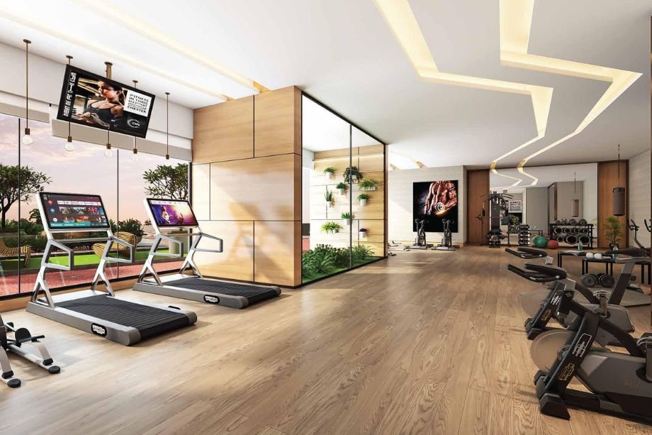 Apex-Nova-10-Elegance-GYM