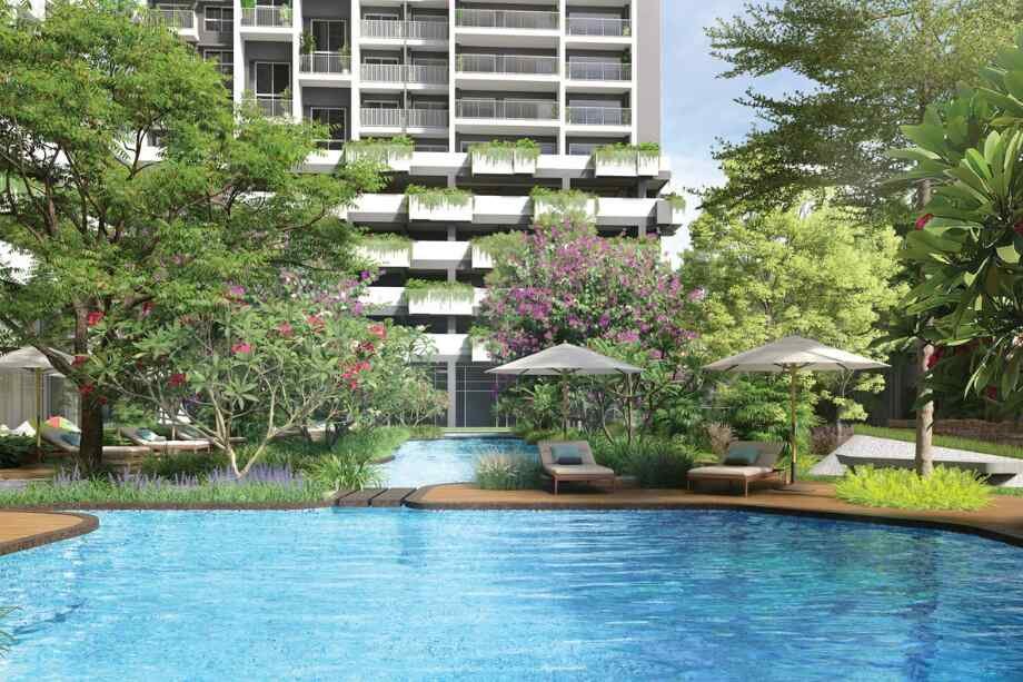 Rohan-Harita-garden