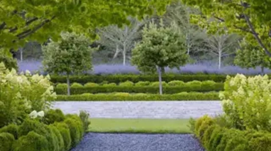 Somani-72-East-Landscaped-Garden