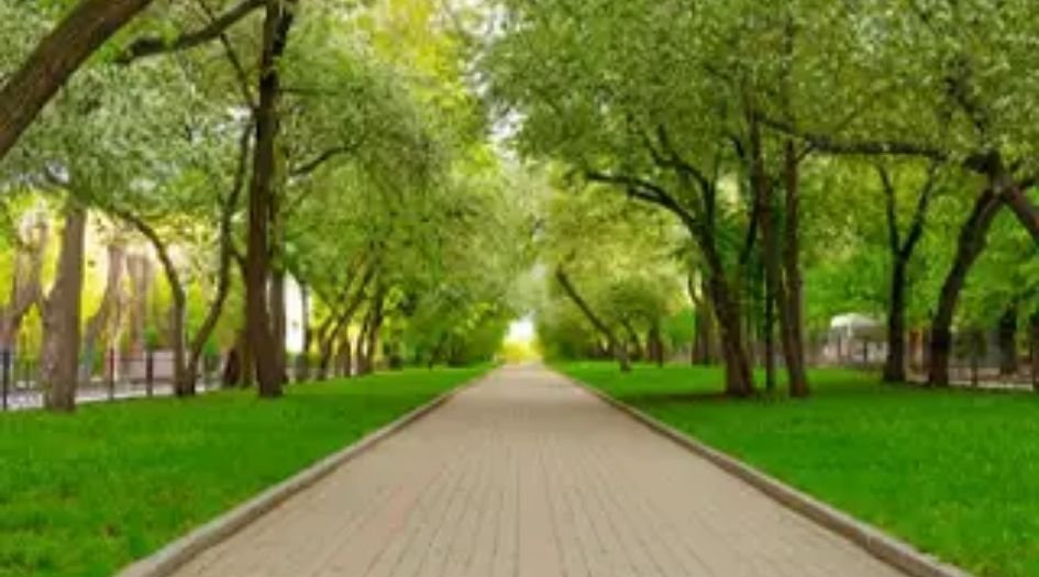 Somani-72-East-Walking-path
