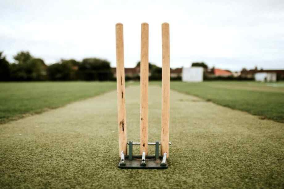 Sonam-Indraneel-cricket-pitch