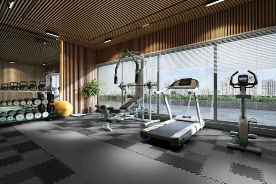 Delta-Luxuria-Gym