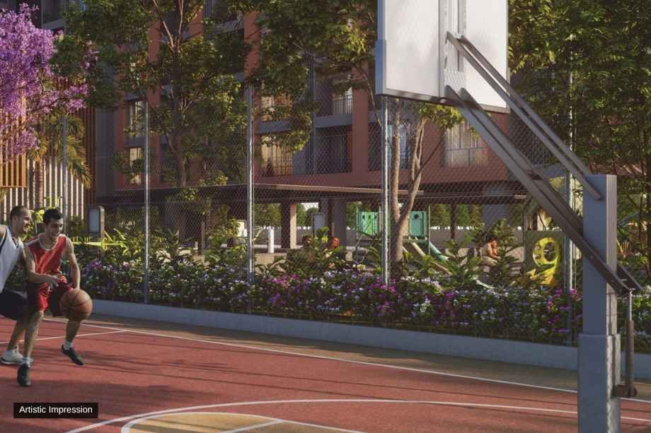 Basket-Ball-Court