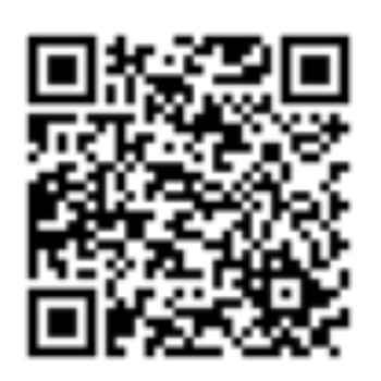 PR1331012502243